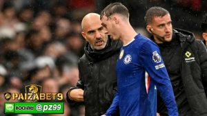 พาลเมอร์